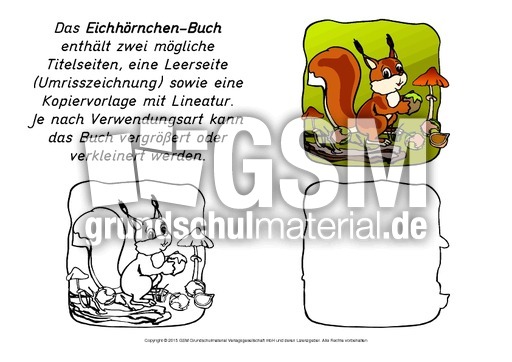 Mini-Buch-Eichhörnchen-B.pdf